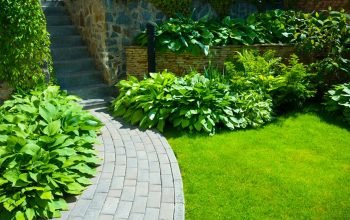 Garden stone path with grass growing up between the stones.Detail of a botanical garden.