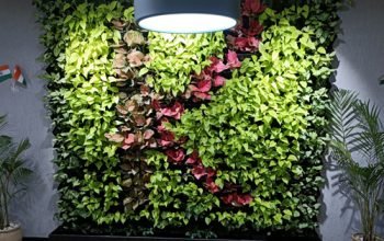 Vertical-Green-Wall